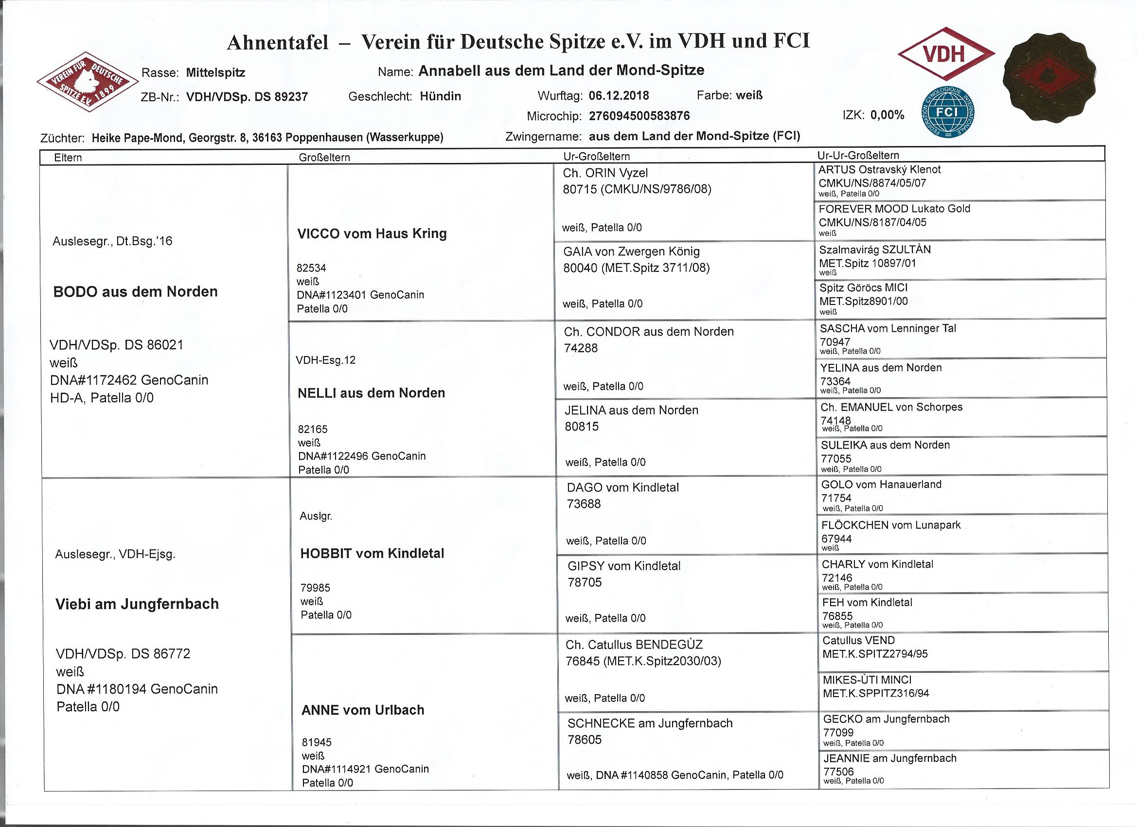 Ahnentafel vorn