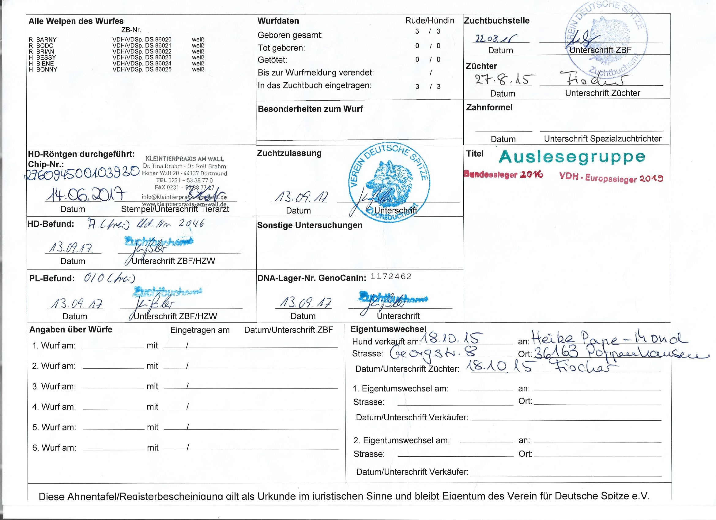 Ahnentafel hinten