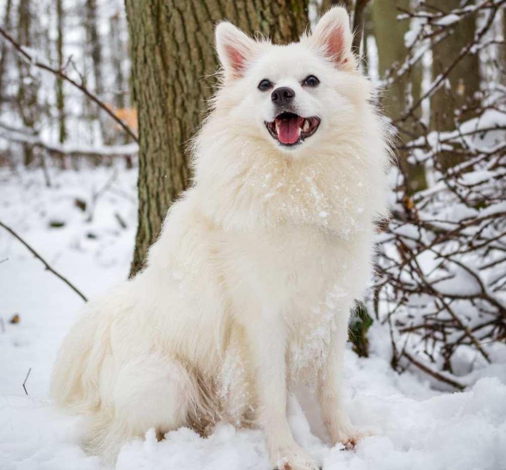 Finja im Schnee