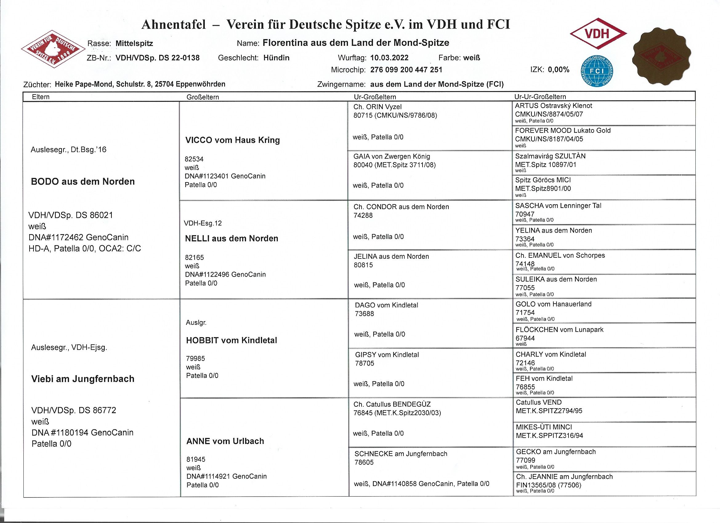 Ahnentafel vorn