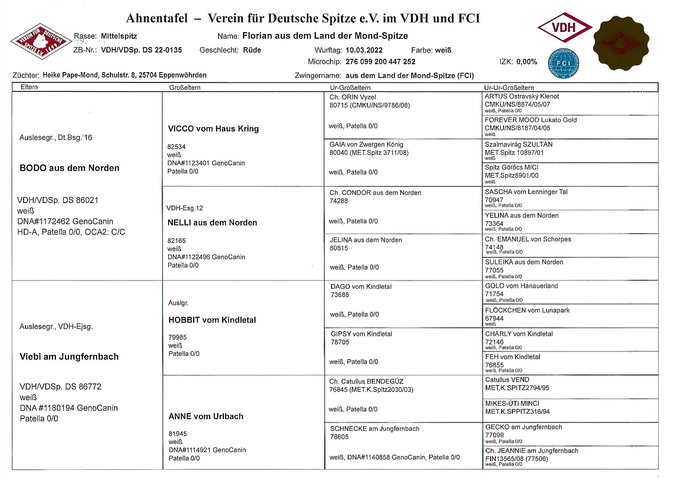 Ahnentafel vorn