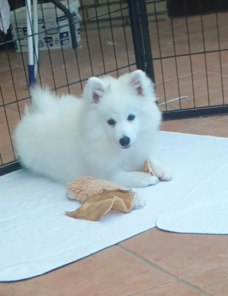 Irmie eines der Mädchen